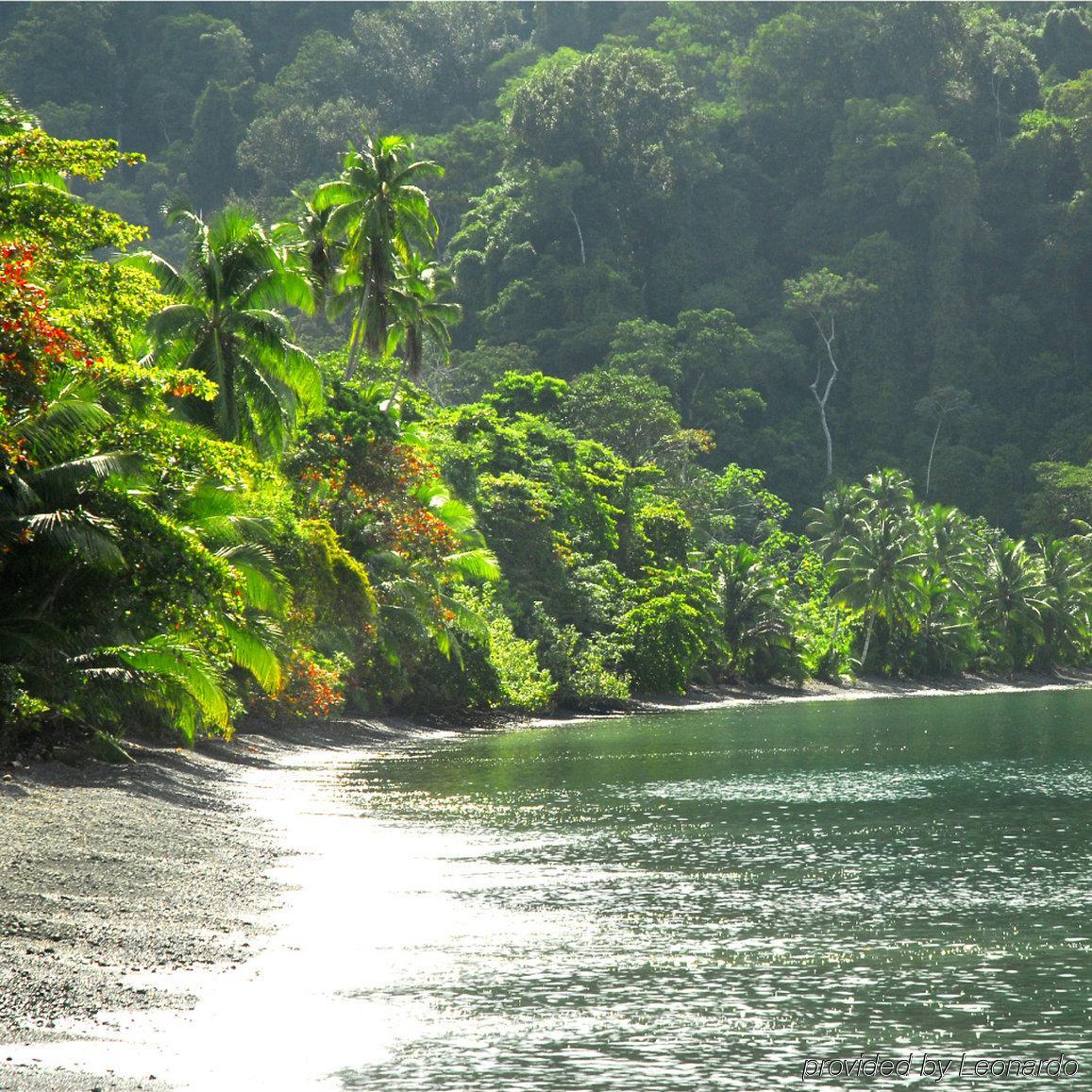 Playa Nicuesa Rainforest Eco Sanctuary Golfito Exteriör bild