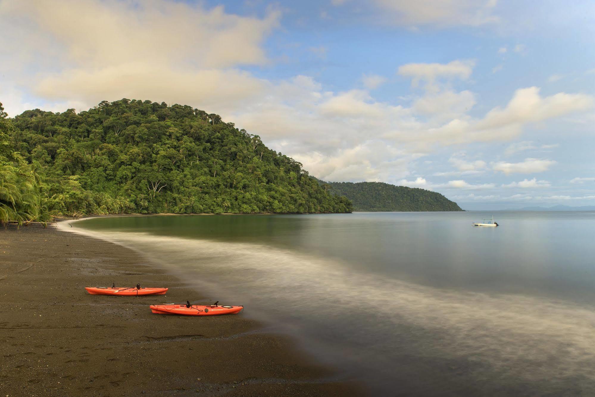 Playa Nicuesa Rainforest Eco Sanctuary Golfito Exteriör bild