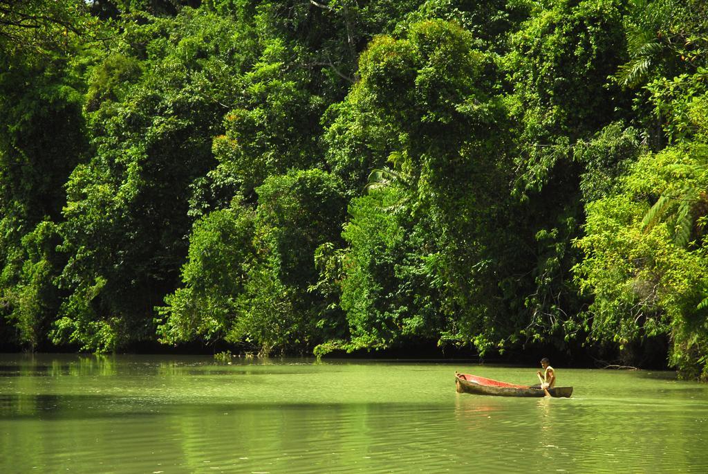 Playa Nicuesa Rainforest Eco Sanctuary Golfito Exteriör bild